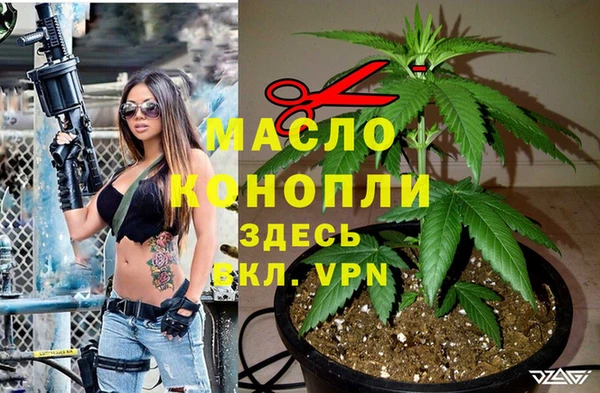 сатива Абаза