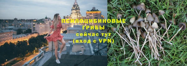 сатива Абаза